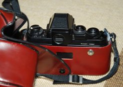 DSC_0102.JPG