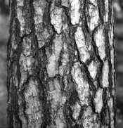 2021-11-07-0001.jpg