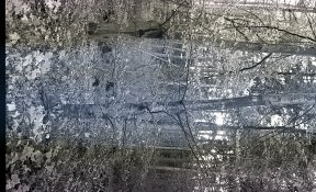 b3c7d3ac01ab4df380646df904d1f363.jpg b3c7d3ac01ab4df380646df904d1f363.jpg