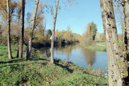 2021-11-11-0024.jpg