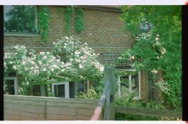 Image1 low res.jpg
