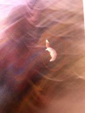 IMG_1900 2.jpg IMG_1900 2.jpg