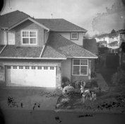 img182small.jpg