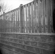 img184small.jpg