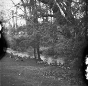 img189small.jpg