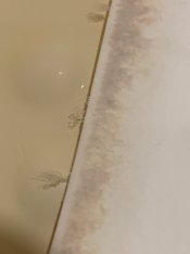 IMG_9022.jpg