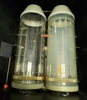 20211204_130351 (2).jpg