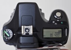 _1070010 crop web.jpg