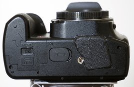 _1070005 crop web.jpg