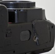 _1070008 crop web.jpg