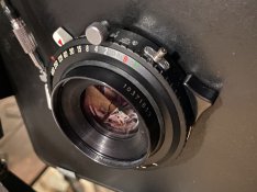 IMG_8131.JPG