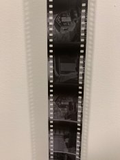 IMG_3518.jpeg IMG_3518.jpeg