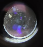 20220126_234812.jpg