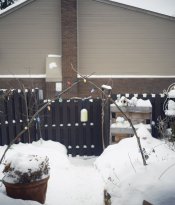 DSCF0313.jpg