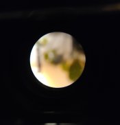 20220131_231731.jpg
