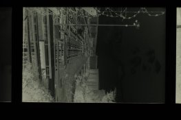 IG_IMG_3455_neg.JPG