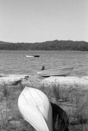 Image18p2.jpg
