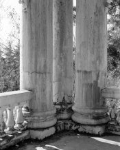 img254small.jpg