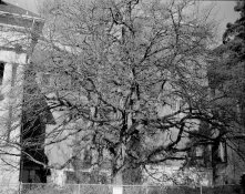 img264small.jpg