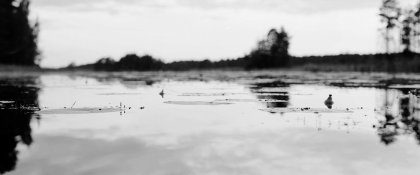 29744259_2025408034155971_4787186059830298207_o.jpg 29744259_2025408034155971_4787186059830298207_o.jpg