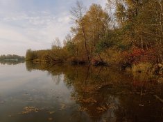 Autumnal-14b-2012-11-09.jpg