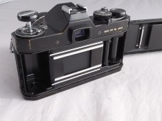 R1114577.JPG