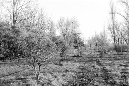 IG_IMG_7345_2.JPG