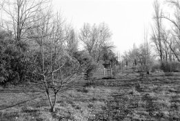IG_IMG_7346_2.JPG