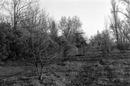 IG_IMG_7348_2.JPG
