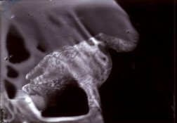 dry plate disaster.jpg