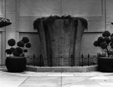 img03.JPG