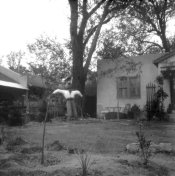 Scarecrow001a.jpg