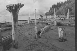 badrepro-wreckbeach-IMG_0334.jpg