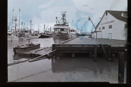boats-IMG_0332.jpg