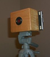 pin1.jpg