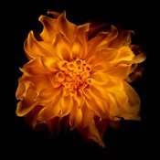paint-with-light02.jpg