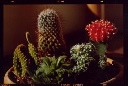 400VC-2,contactsheet,Endura-1.jpg