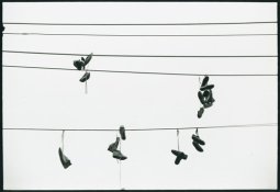 Sneakers500.jpg