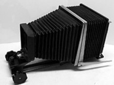 45257.jpg