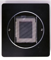 Whole%20Messraster%20in%20Ilko%20Back%20100Res%20(1).jpg