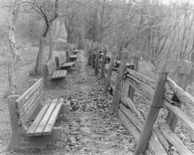 Benches.jpg