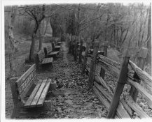 Benches Second Try.jpg