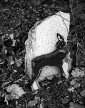 Grave light.jpg