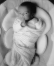 Melchior,14Jan2007.JPG