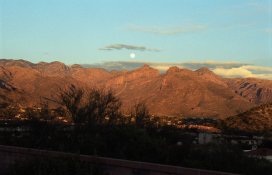 New-Year-Day--Landscape.jpg