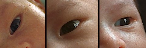 Grain--old160nc-35,160nc2-120,160vc-120.jpg