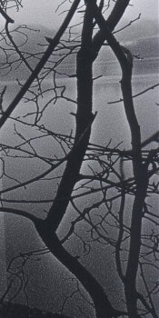 delta3200_pcat_test.jpg