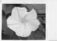 image100.jpg