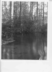 image102.jpg