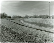 creek3.jpg